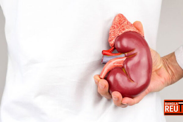 কিডনি সুরক্ষায় জাদুকরী পানীয়: সুস্থ ও টক্সিনমুক্ত শরীরের গোপন সূত্র ও কিছু বিশেষ সতর্কতা