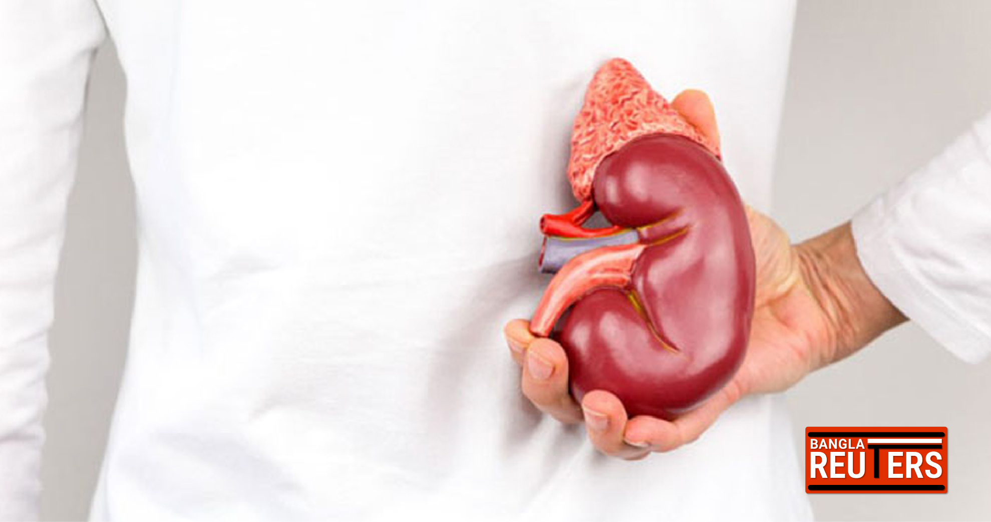 কিডনি সুরক্ষায় জাদুকরী পানীয়: সুস্থ ও টক্সিনমুক্ত শরীরের গোপন সূত্র ও কিছু বিশেষ সতর্কতা